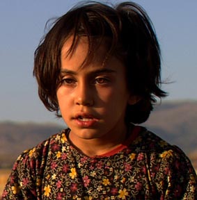 Elif Bülbül