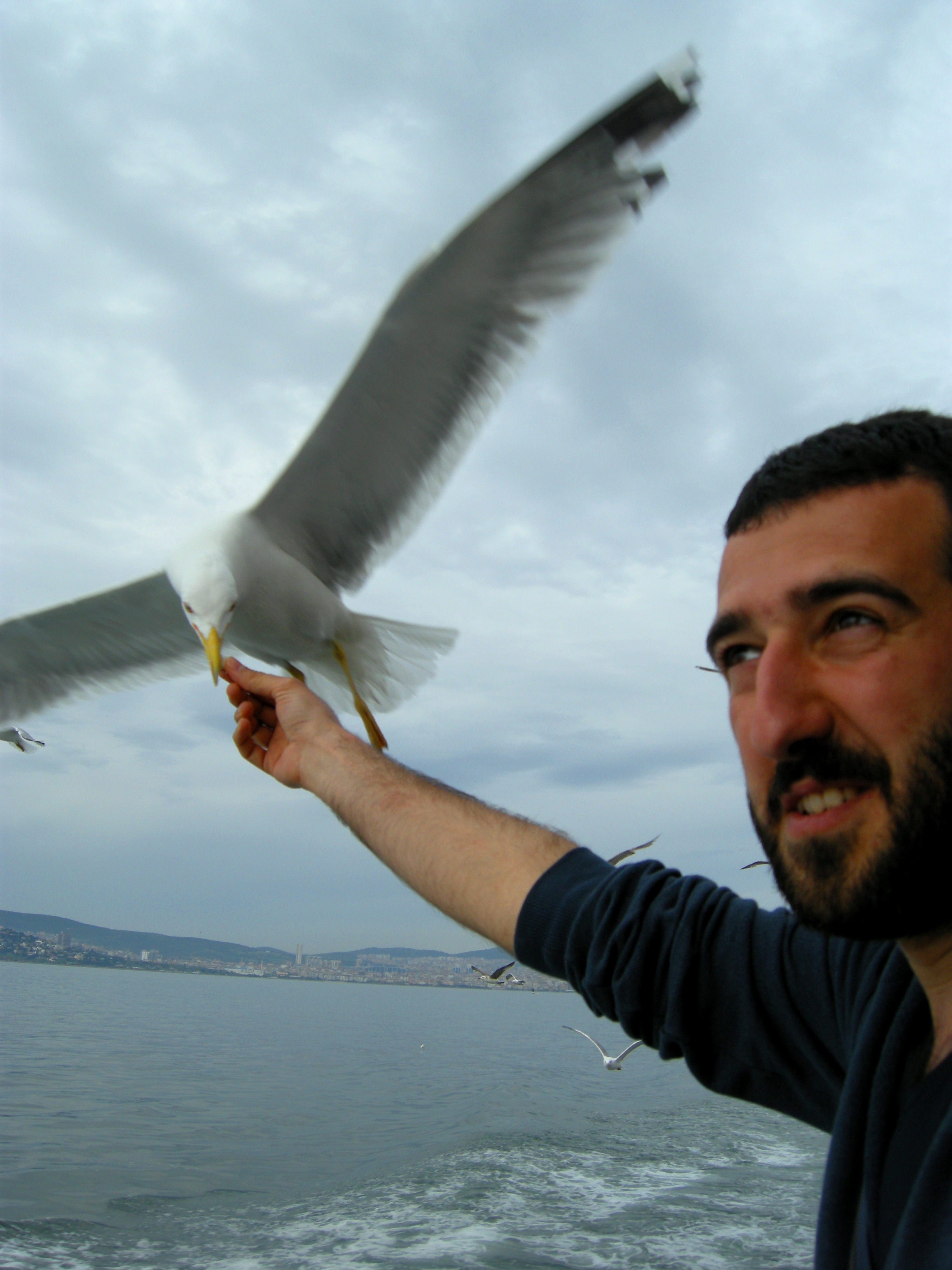 Orhan Kalkan