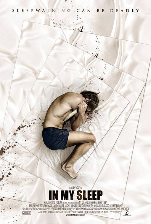 In My Sleep afişi