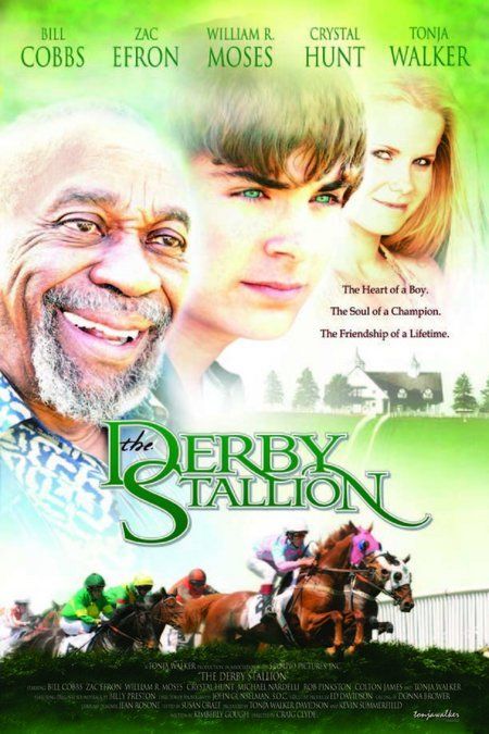 The Derby Stallion afişi
