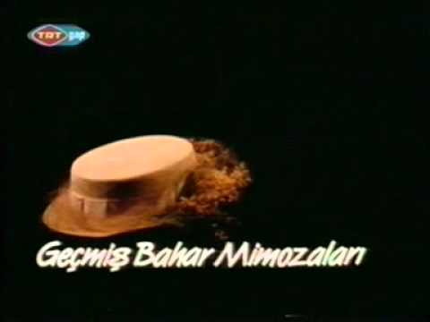 Geçmiş Bahar Mimozaları afişi
