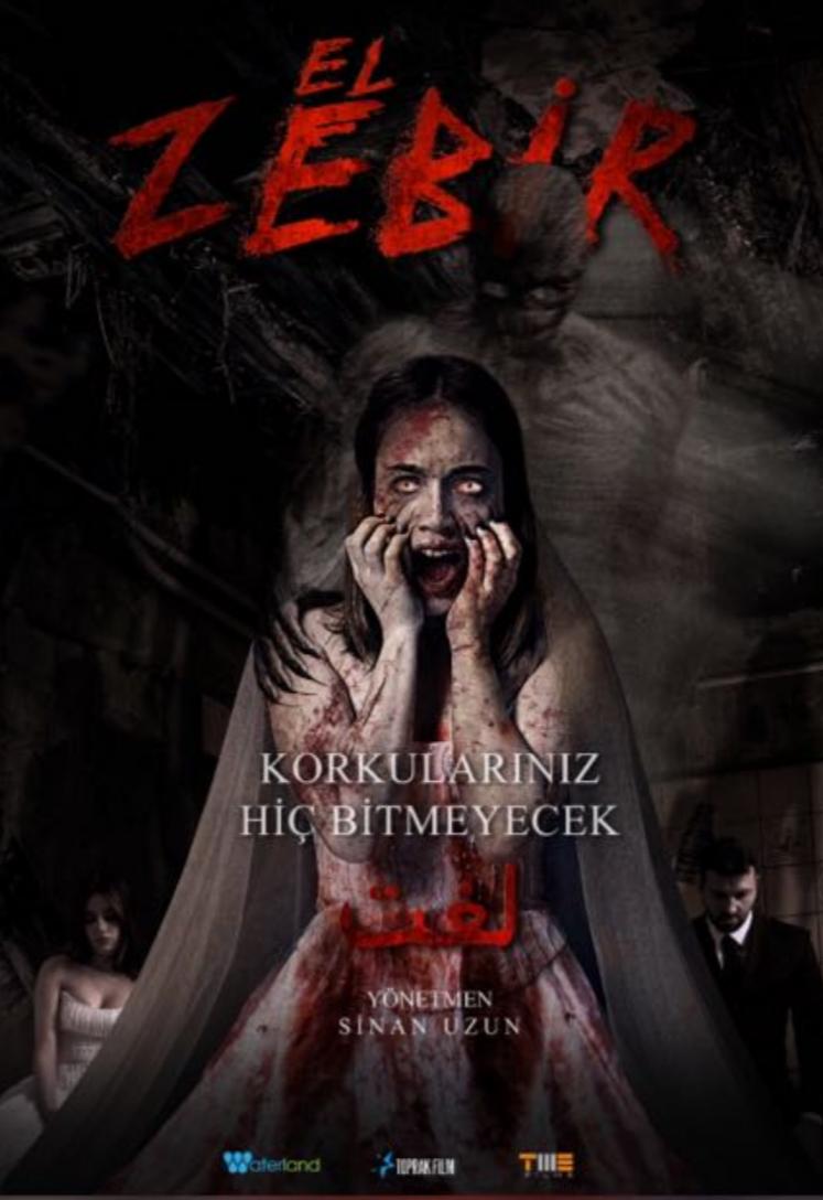 el zebir afişi