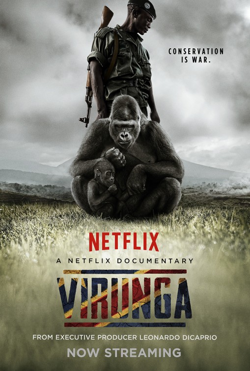 Virunga afişi