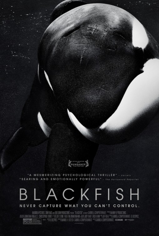 Blackfish afişi