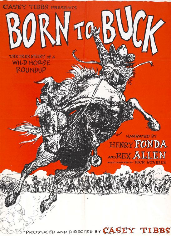 Born to Buck afişi