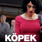 Köpek afişi