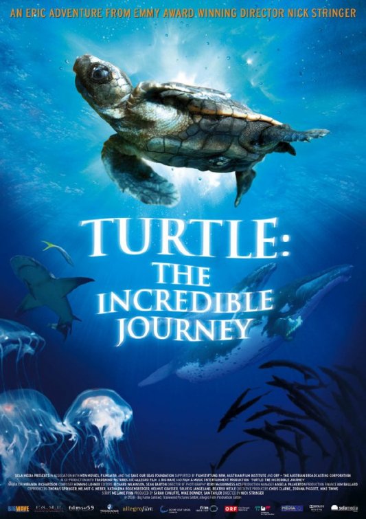 Turtle: The Incredible Journey afişi
