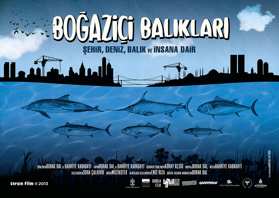 Boğaziçi Balıkları afişi