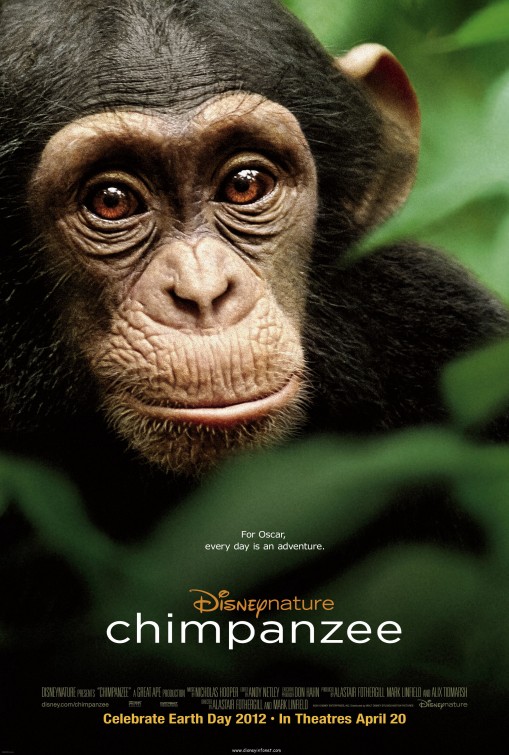 Chimpanzee afişi