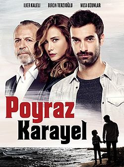 Poyraz Karayel afişi