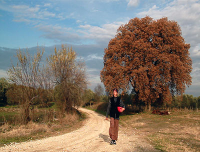 Hala afişi