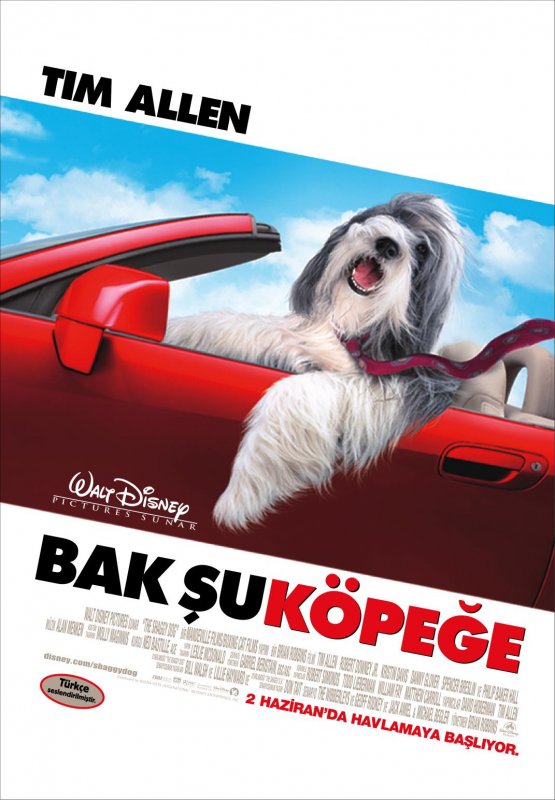 Bak Şu Köpeğe afişi