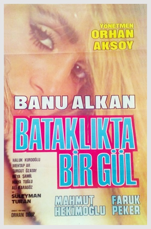 Bataklıkta Bir Gül afişi