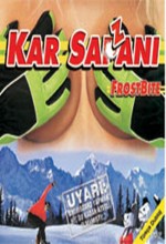 Kar Sazanı afişi