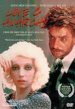 Aşk ve Anarşi Üzerine Bir Film afişi