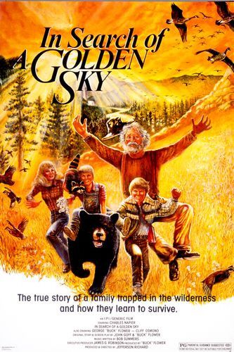 In Search of a Golden Sky afişi