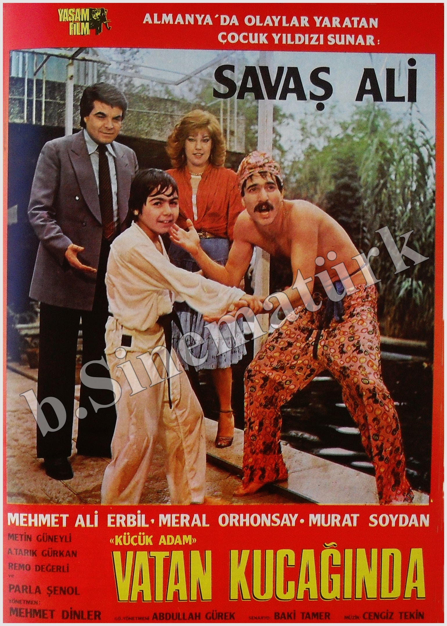 Vatan Kucağında afişi