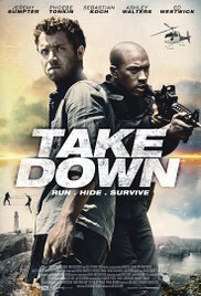 Take Down afişi