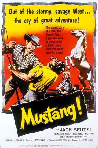 Mustang! afişi
