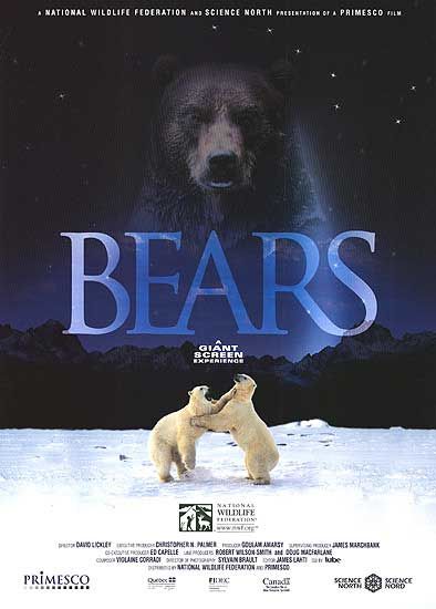 Bears afişi