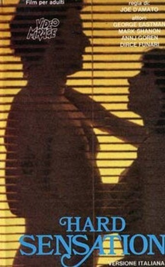 Hard Sensation afişi