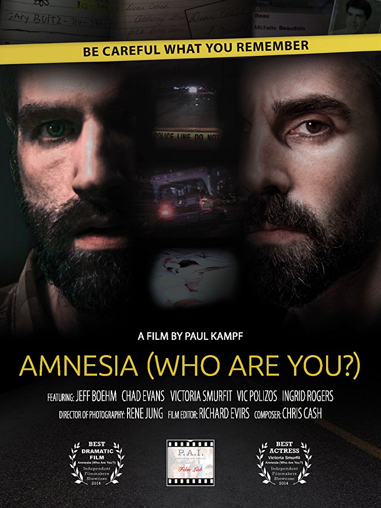Amnesia: Who Are You? afişi