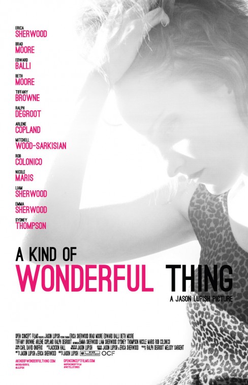 A Kind of Wonderful Thing afişi