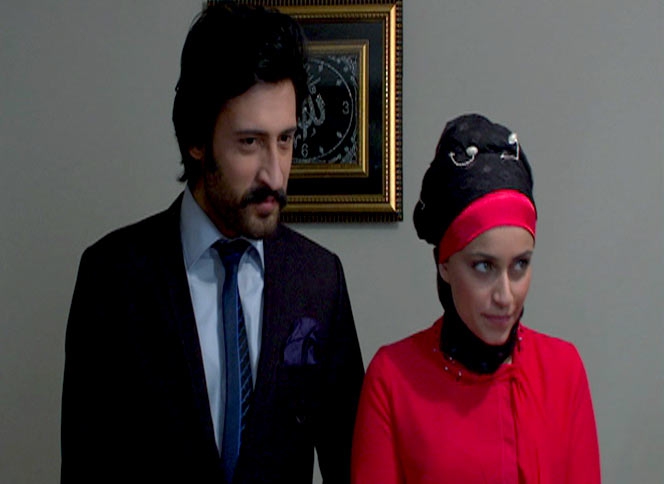 Bir Kız Sevdim afişi