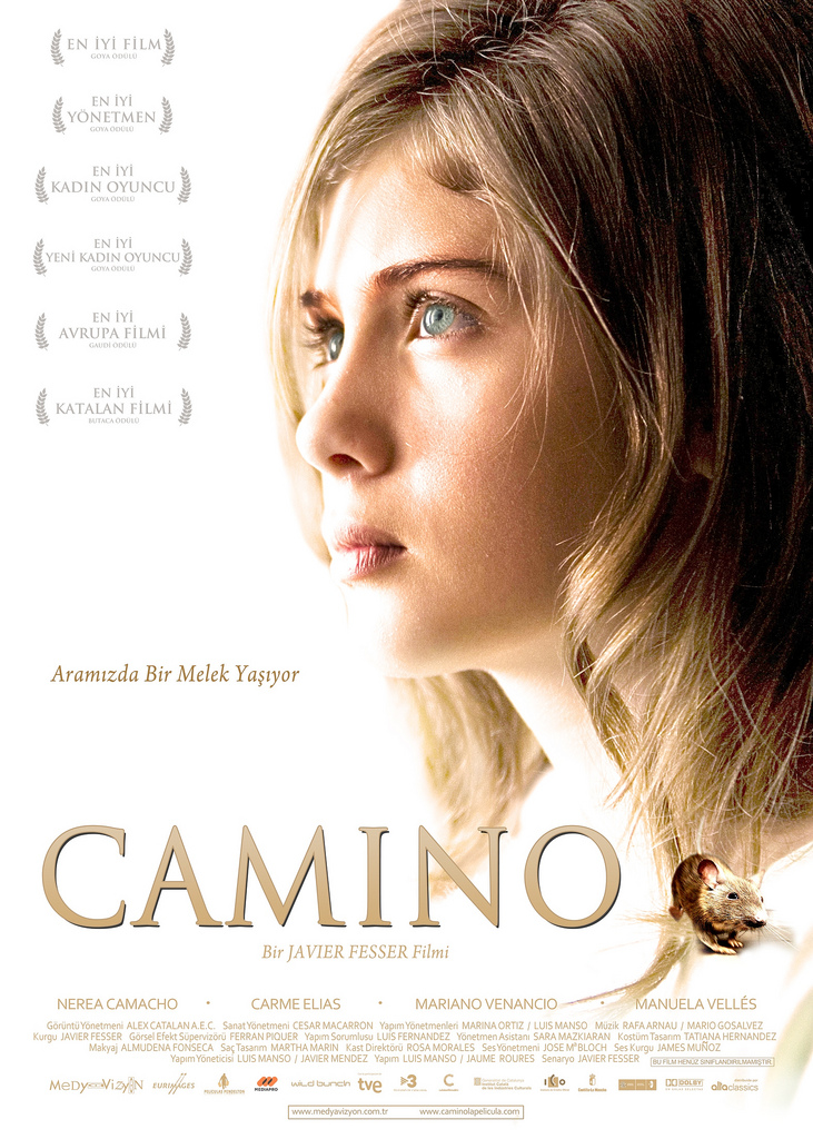 Camino afişi