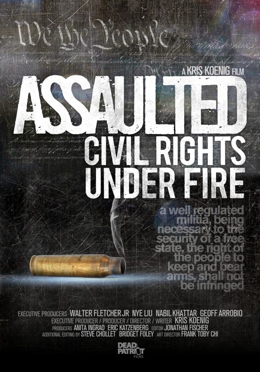 Assaulted: Civil Rights Under Fire afişi
