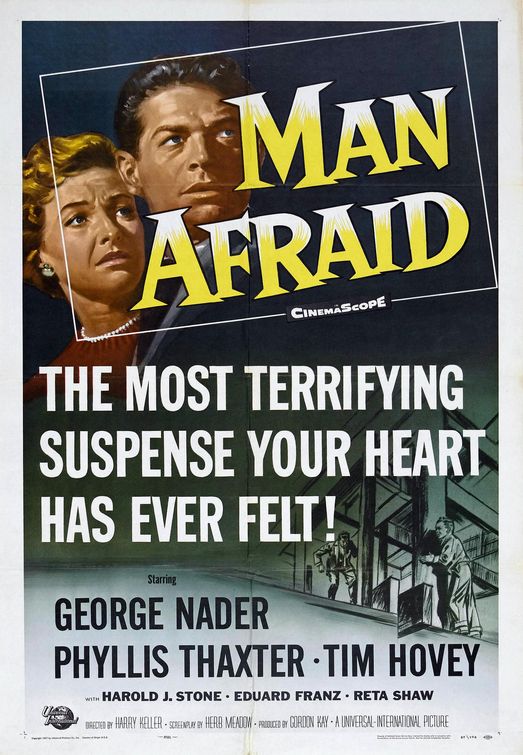 Man Afraid afişi
