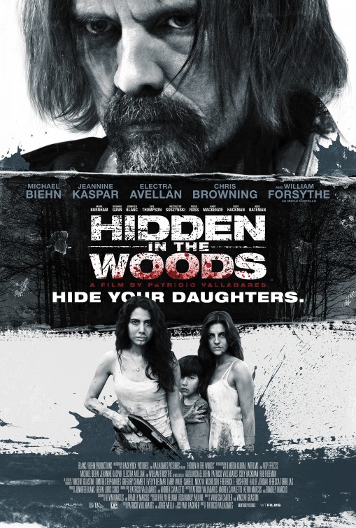 Hidden in the Woods afişi