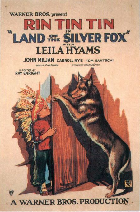 Land of the Silver Fox afişi