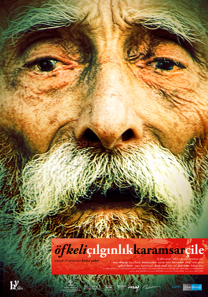 Öfkeli Çılgınlık Karamsar Çile afişi