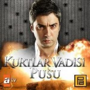 Kurtlar Vadisi Pusu 2. Sezon afişi