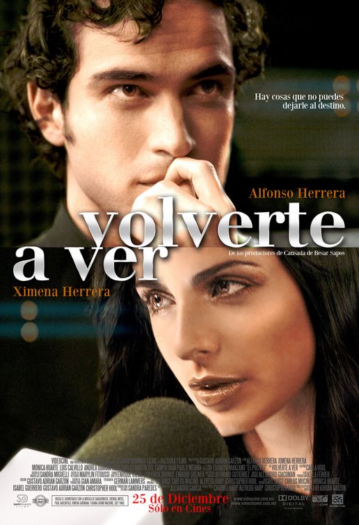 Volverte a ver afişi