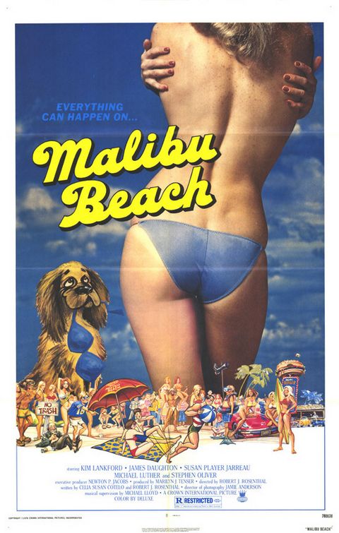 Malibu Beach afişi