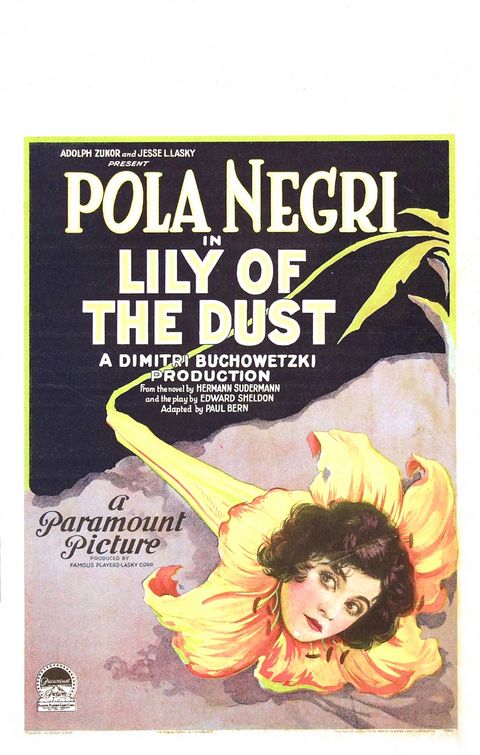 Lily of the Dust afişi