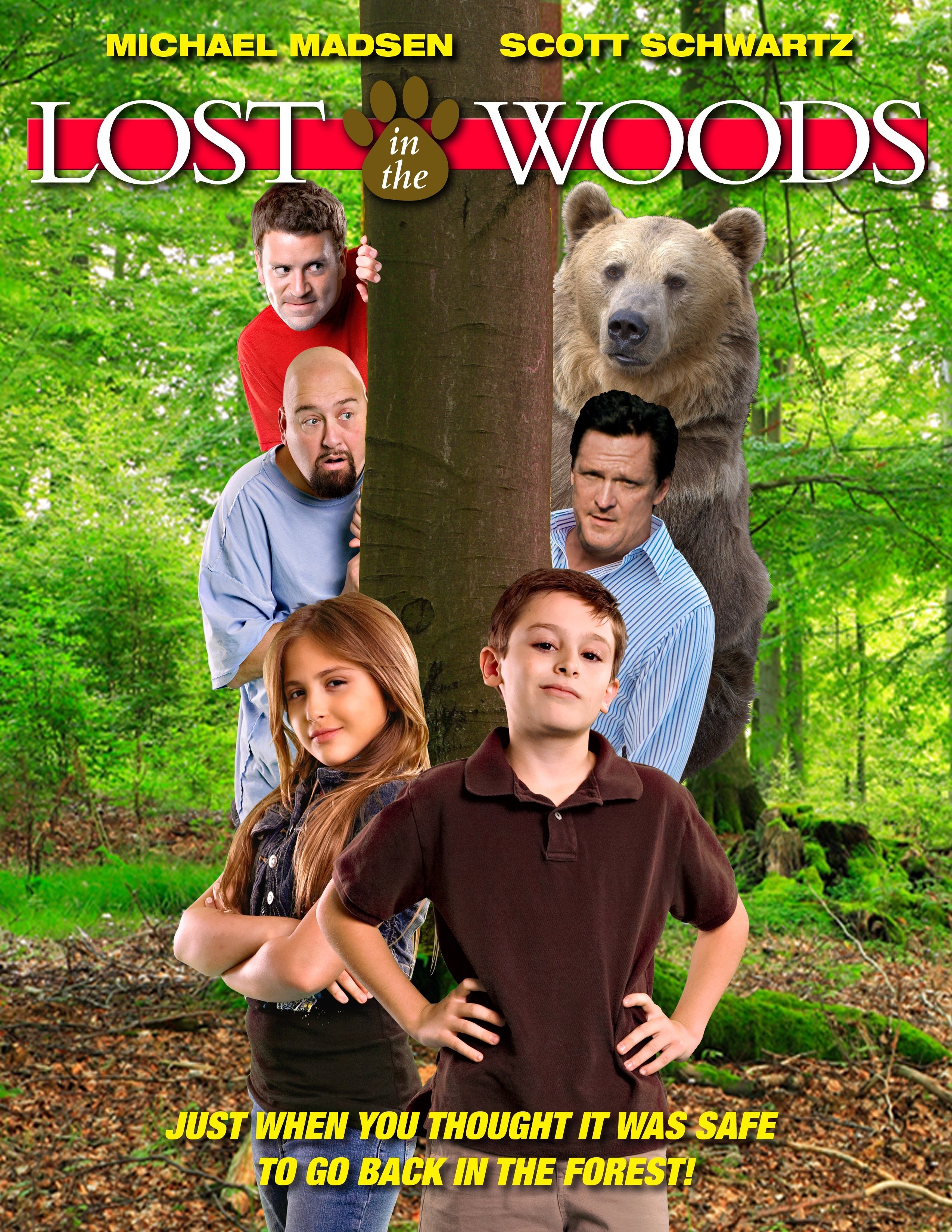Lost in the Woods afişi