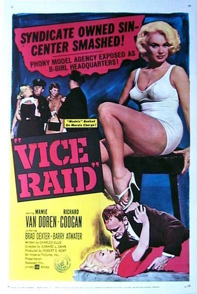 Vice Raid afişi