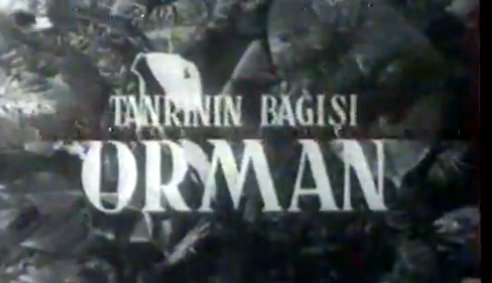 Tanrının Bağışı Orman afişi