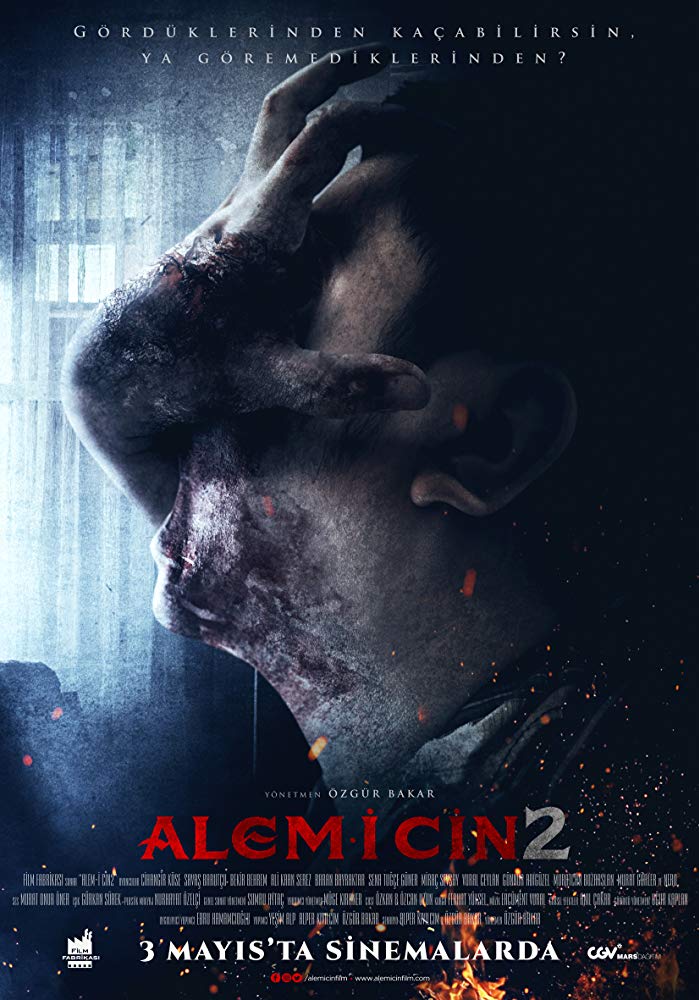 Alem-i Cin 2 afişi
