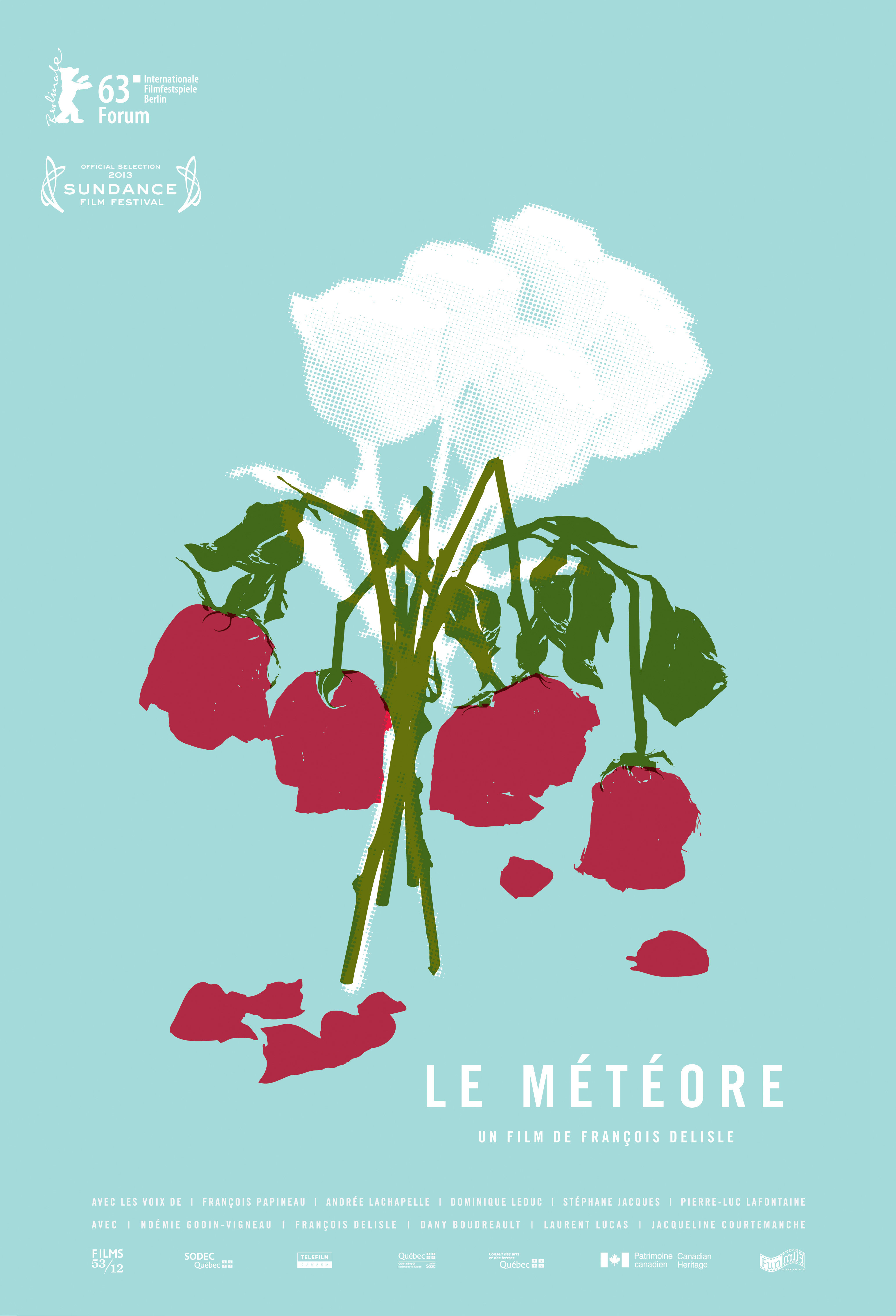 The Meteor afişi