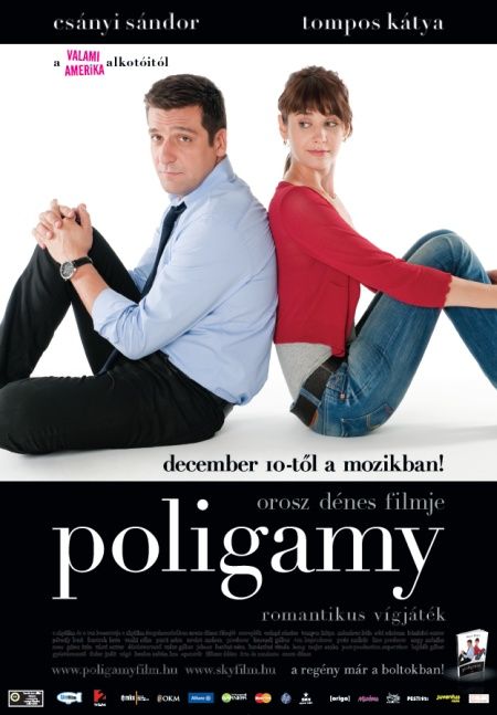 Poligamy afişi