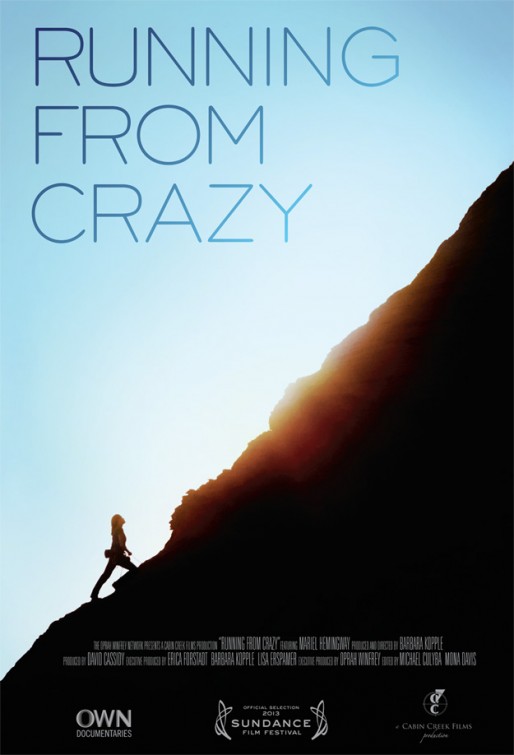 Running from Crazy afişi