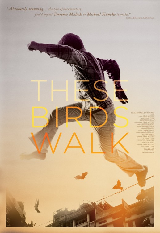 These Birds Walk afişi