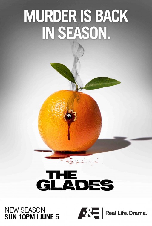 The Glades afişi