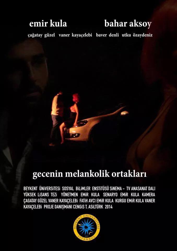 Gecenin Melankolik Ortakları afişi