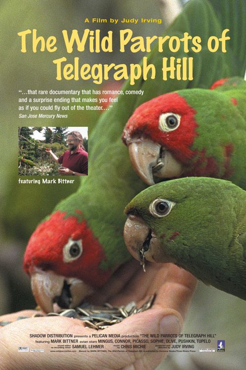 The Wild Parrots of Telegraph Hill afişi