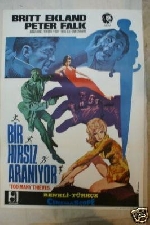 Bir Hırsız Aranıyor afişi